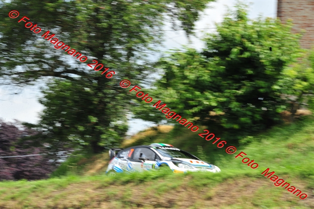 DSC_7949.JPG